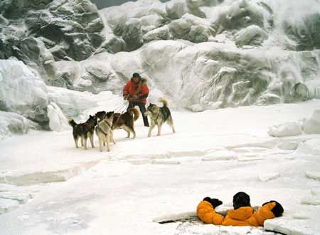 映画『南極物語』の画像（5枚目）