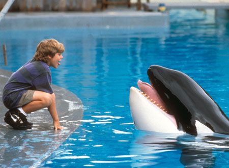 映画『フリー・ウィリー』の画像（5枚目）