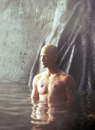 映画『マトリックス』の画像（2枚目）