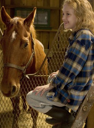 映画『夢駆ける馬ドリーマー　』の画像（2枚目）