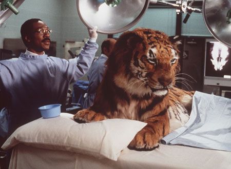 映画『ドクター・ドリトル』の画像（2枚目）