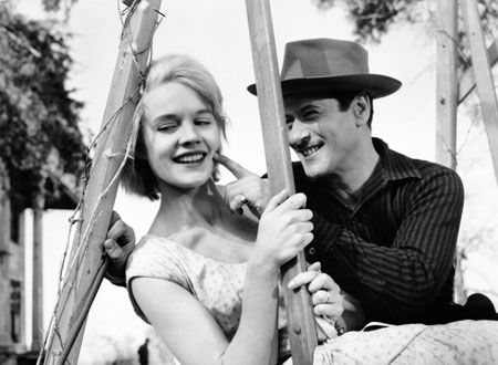 映画『ベビイドール』の画像（3枚目）