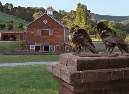 映画『シャーロットのおくりもの』の画像（2枚目）