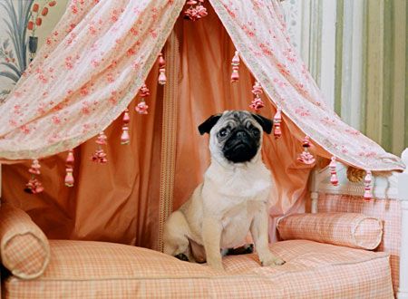 映画『マリー・アントワネット』の画像（5枚目）