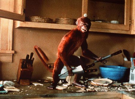 映画『ジュマンジ』の画像（5枚目）