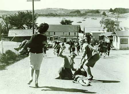 映画『鳥』の画像（2枚目）