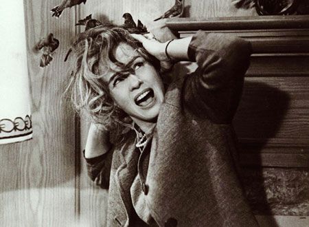 映画『鳥』の画像（3枚目）