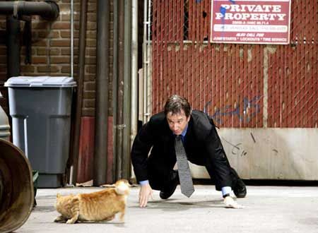 映画『シャギー・ドッグ』の画像（3枚目）