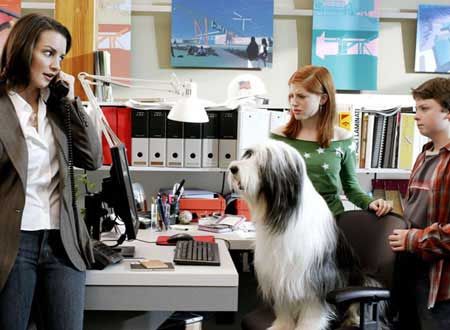 映画『シャギー・ドッグ』の画像（5枚目）