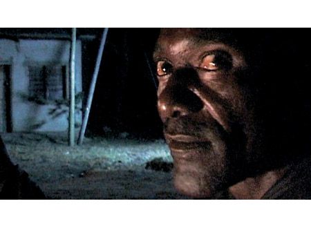 映画『ダーウィンの悪夢』の画像（2枚目）