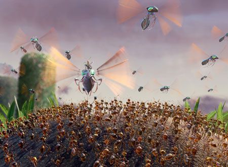 映画『アントブリー』の画像（5枚目）