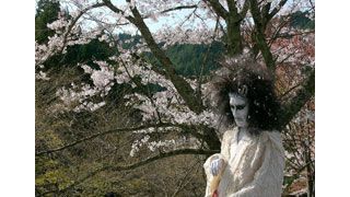裸の夏