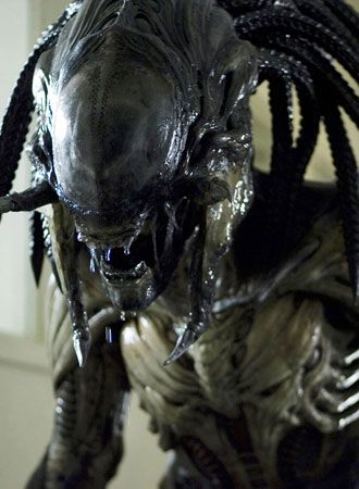 映画『AVP2 エイリアンズVS.プレデター』の画像（2枚目）