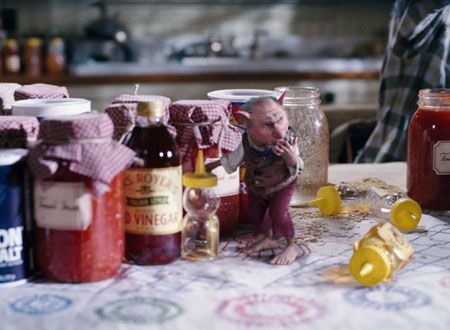 映画『スパイダーウィックの謎』の画像（3枚目）