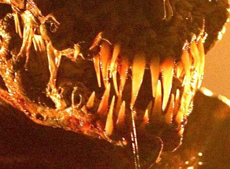 ザ・フィースト