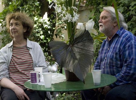 映画『パリ、恋人たちの2日間』の画像（3枚目）