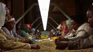 おいしいコーヒーの真実