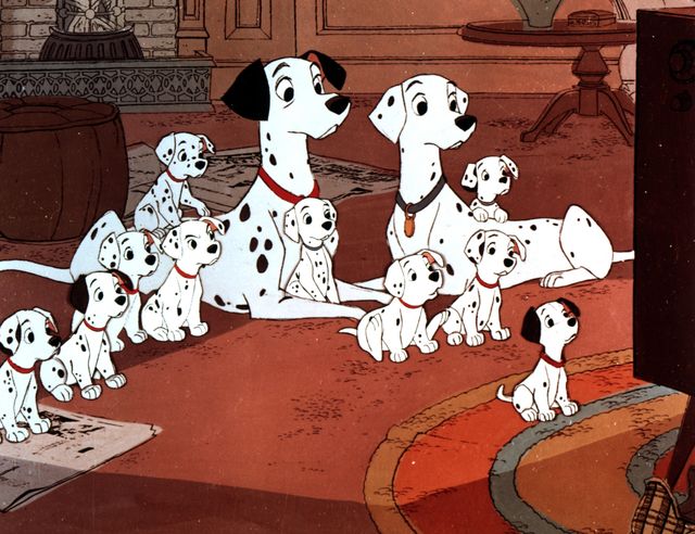 映画『101匹わんちゃん』の画像（4枚目）