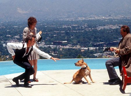 映画『2 days トゥー・デイズ』の画像（3枚目）