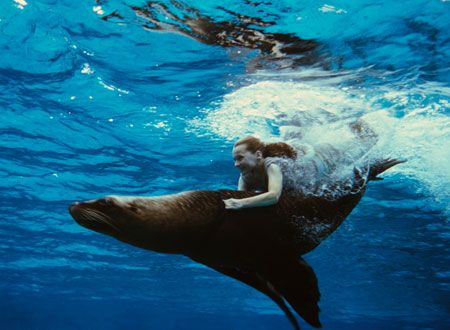 映画『幸せの1ページ』の画像（3枚目）