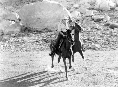 映画『荒馬と女』の画像（3枚目）