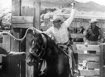 映画『荒馬と女』の画像（5枚目）