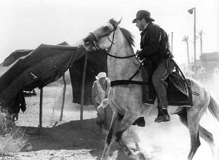 映画『レイダース／失われたアーク《聖櫃》』の画像（5枚目）