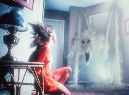 映画『ポルターガイスト』の画像（3枚目）