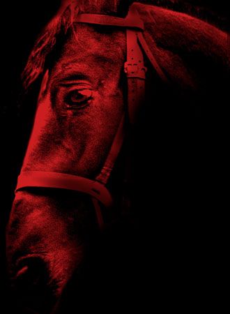 映画『エクウス』の画像（5枚目）