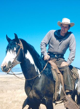 映画『大いなる西部』の画像（4枚目）