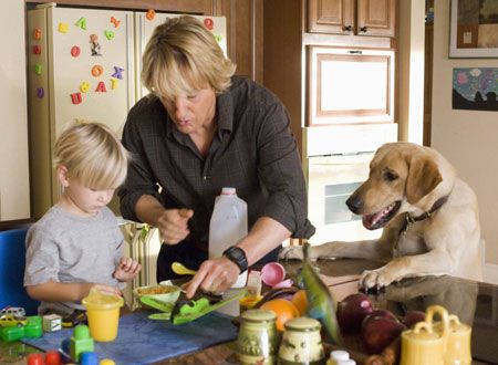 映画『マーリー 世界一おバカな犬が教えてくれたこと』の画像（2枚目）