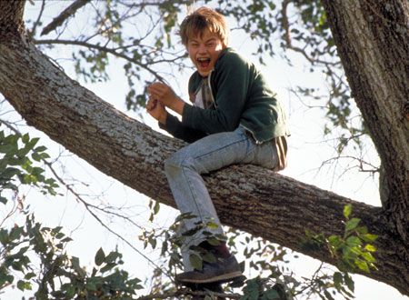 映画『ギルバート・グレイプ』の画像（3枚目）