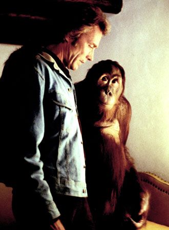 映画『ダーティファイター』の画像（2枚目）