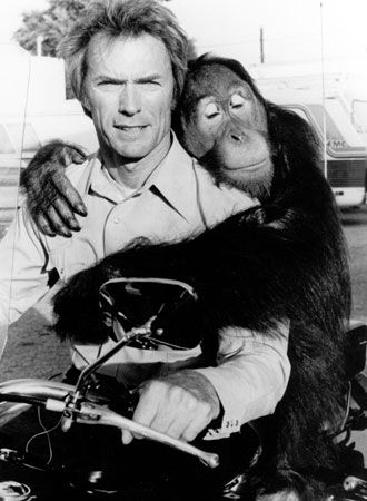 映画『ダーティファイター』の画像（5枚目）