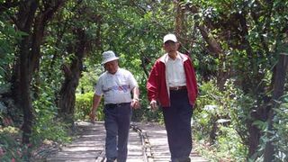 雨が舞う ～金瓜石 残照～