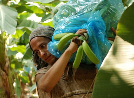 映画『ルドandクルシ』の画像（4枚目）