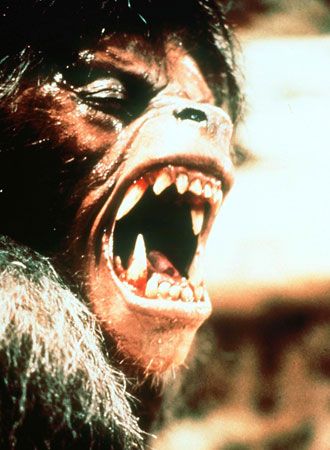 映画『狼男アメリカン』の画像（2枚目）