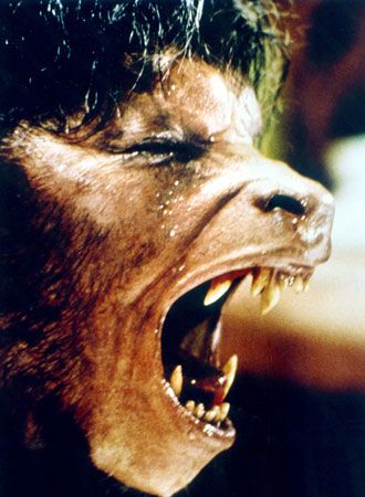 映画『狼男アメリカン』の画像（4枚目）