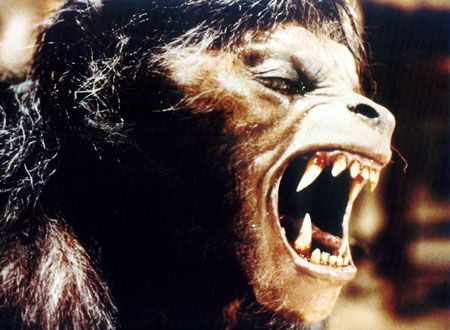 映画『狼男アメリカン』の画像（5枚目）