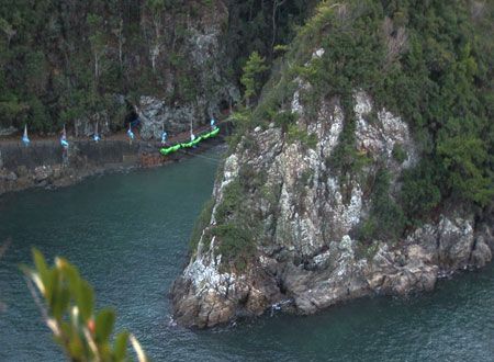 映画『ザ・コーヴ』の画像（4枚目）