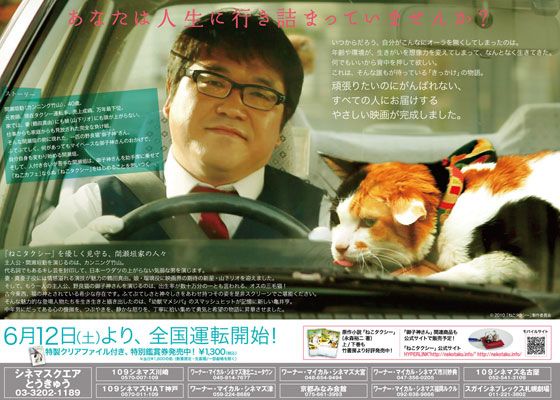 映画『ねこタクシー』の画像（2枚目）