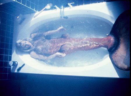 映画『スプラッシュ』の画像（3枚目）