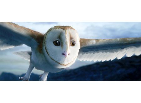 映画『ガフールの伝説』の画像（4枚目）