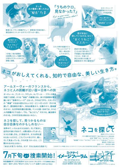 映画『ネコを探して』の画像（2枚目）