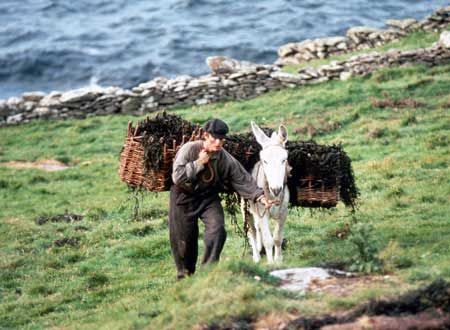 映画『遥かなる大地へ』の画像（5枚目）