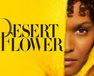 デザート・フラワー