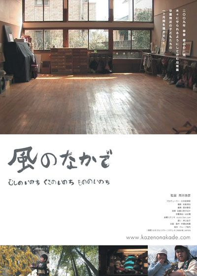 映画『風のなかで/むしのいのち くさのいのち もののいのち』の画像（2枚目）