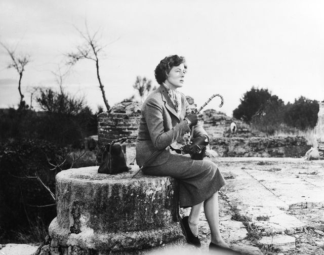 映画『イタリア旅行』の画像（2枚目）