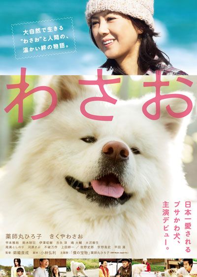 映画『わさお』の画像（2枚目）