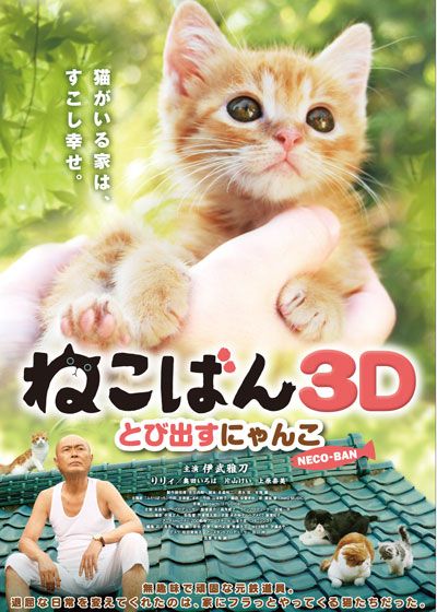 映画『ねこばん3D とび出すにゃんこ』の画像（2枚目）